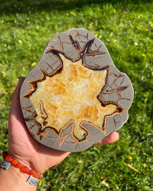 Septarian Nodule (Geode) slice